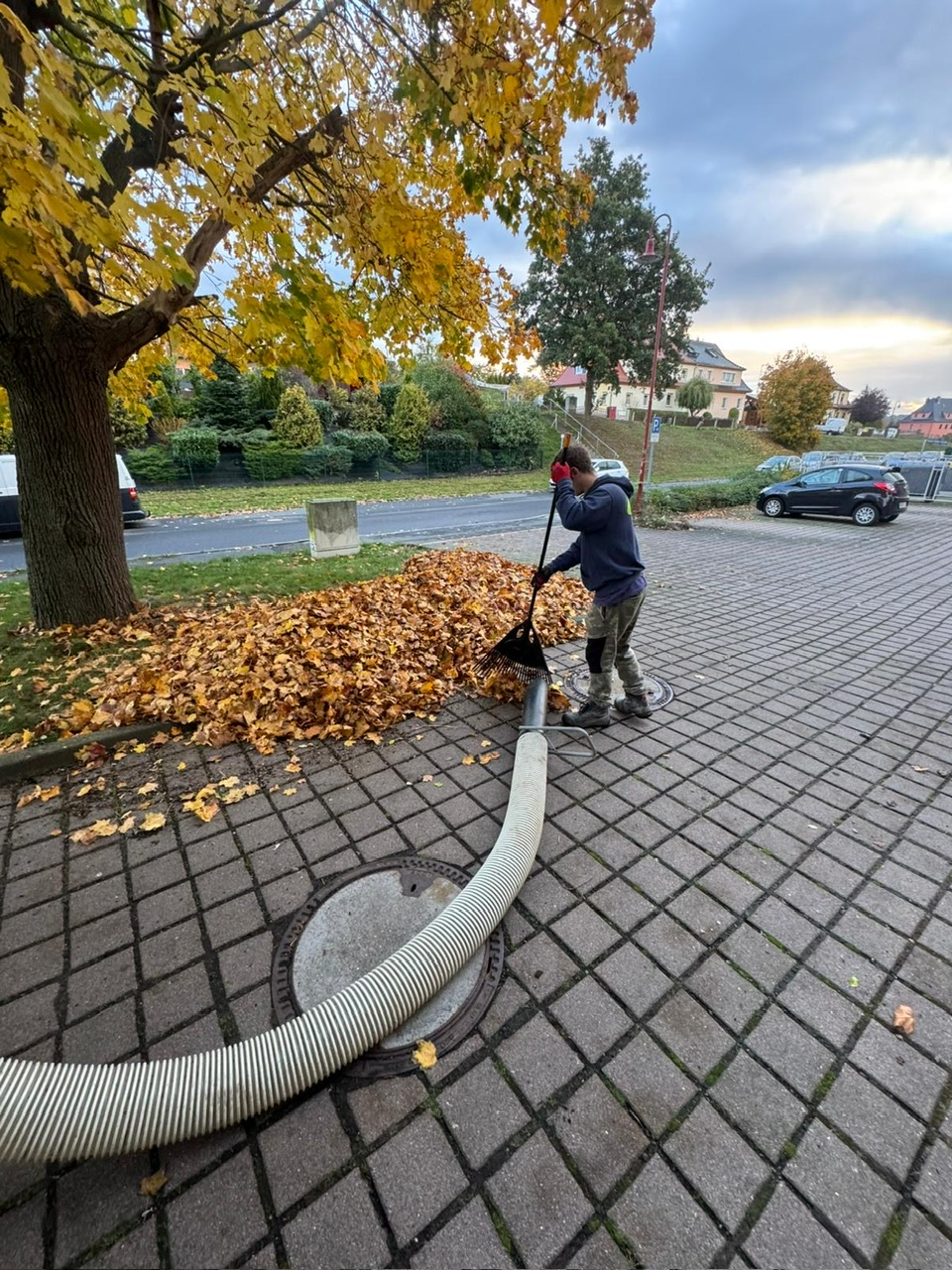 Pflasterarbeiten Pflasterarbeiten